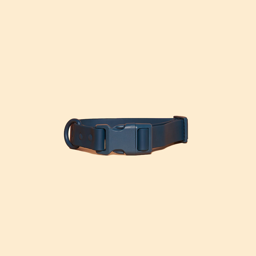 Quick-Release Collar (warehouse sale)