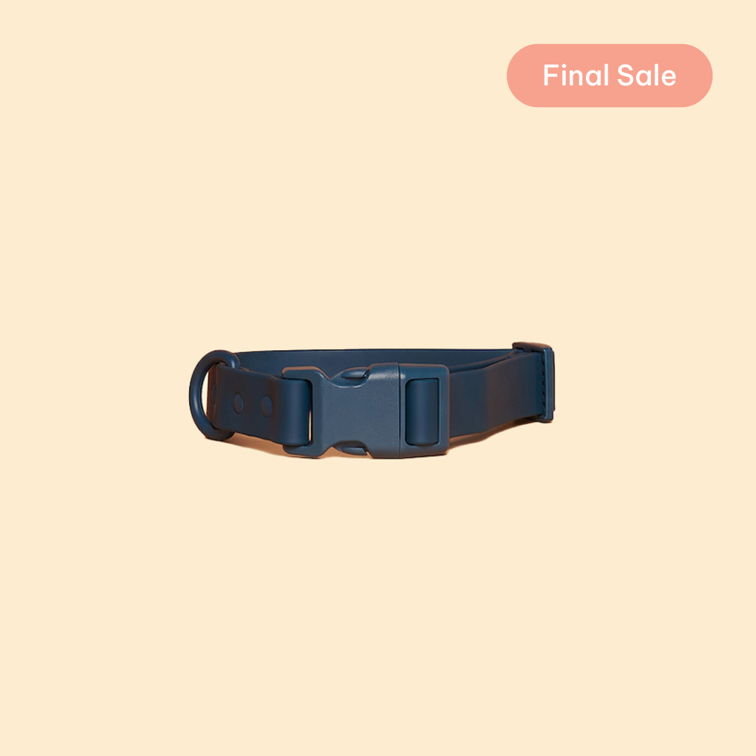 Quick-Release Collar (warehouse sale)