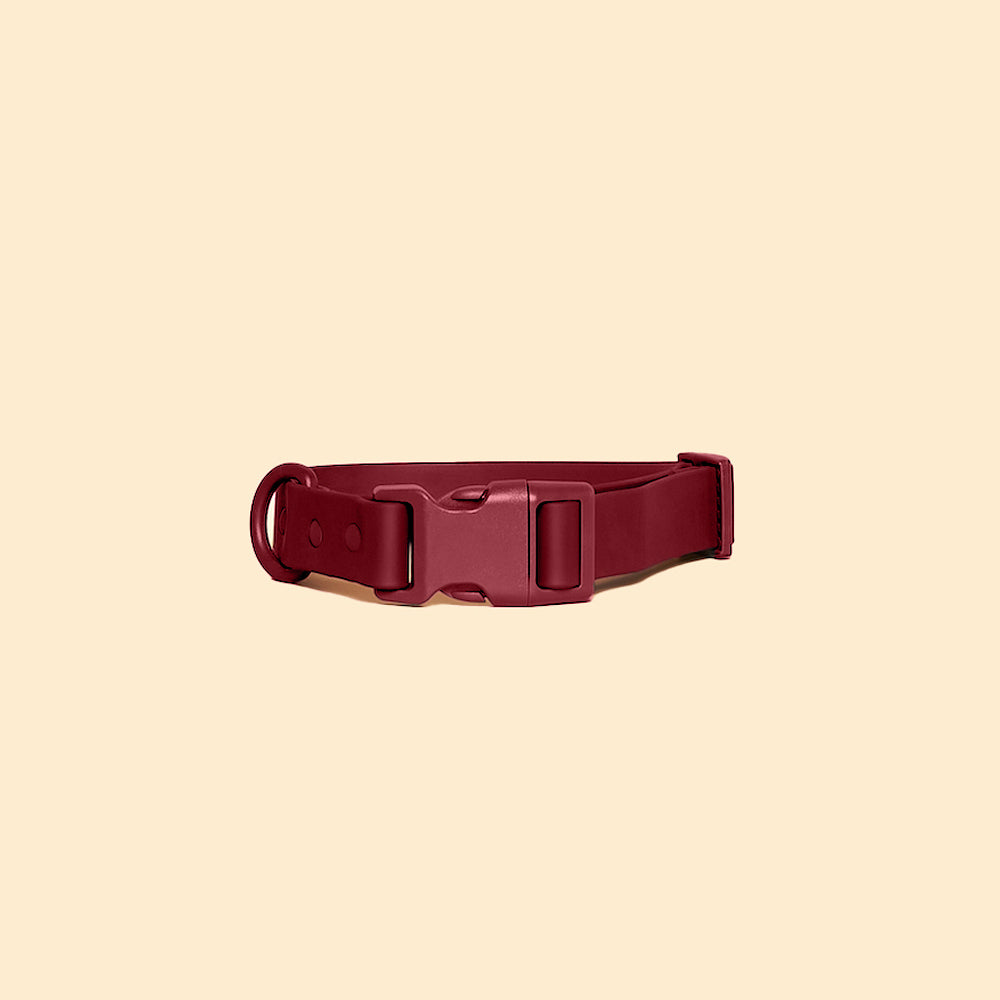 Quick-Release Collar (warehouse sale)