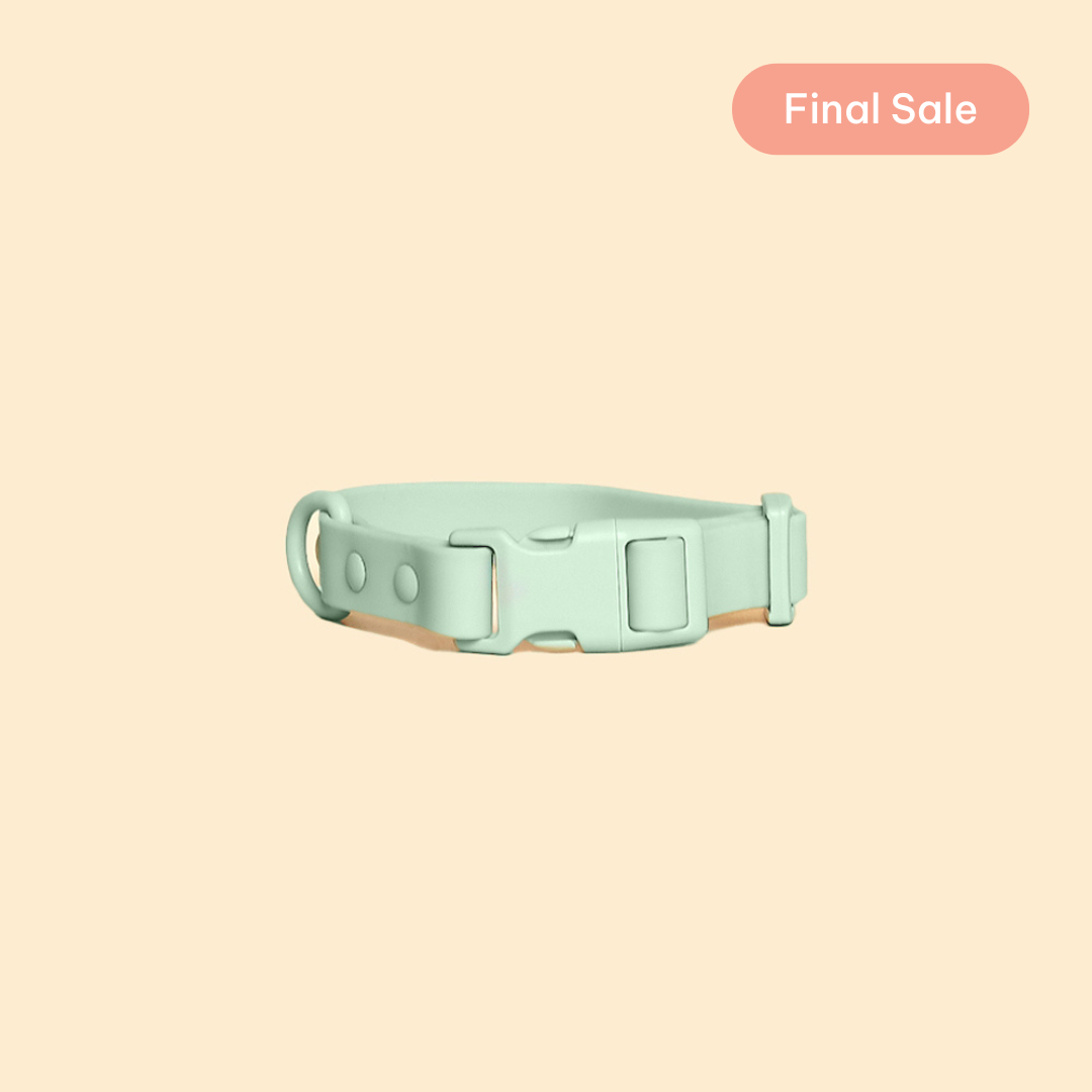 Quick-Release Collar (warehouse sale)