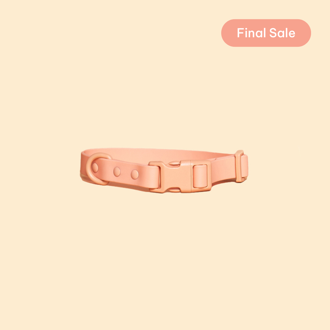 Quick-Release Collar (warehouse sale)